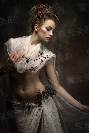 神龙之仙侠奇缘